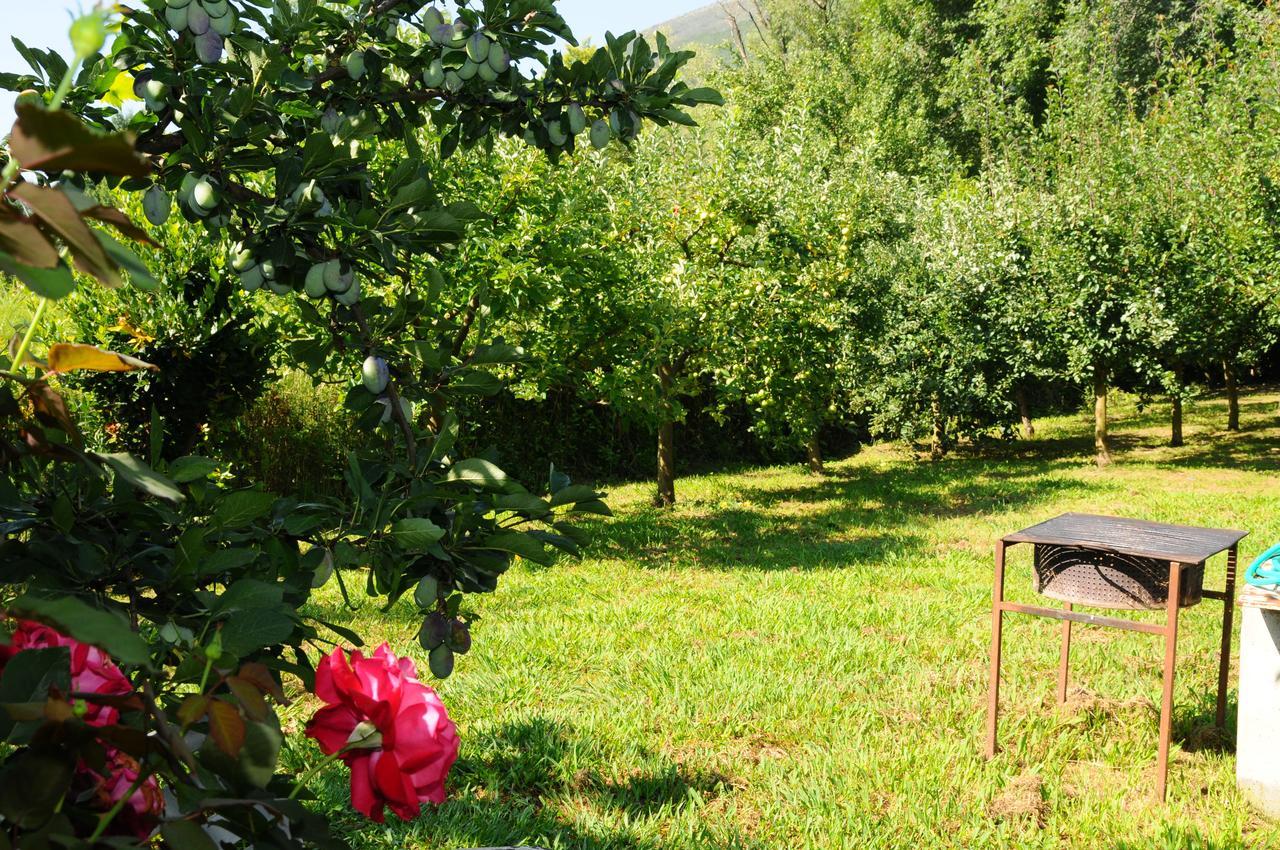 Guest House Markovic Budva Exterior foto